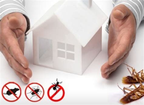 pest control for homes.